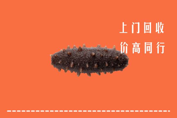 高价求购：烟台回收海参