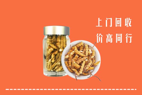 烟台回收冬虫夏草